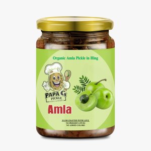 PAPA G PICKLE | Gooseberry Pickle in Pure & Unrefined Cold Pressed Mustard Oil | Organic Homemade Amla Pickle Amla Ka Achaar | Sun-dried, Chemical-Free, No Preservatives | 500g glass Pack